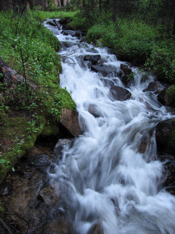 mount_yale_005.jpg