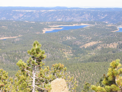 View of Catamount Reservoir