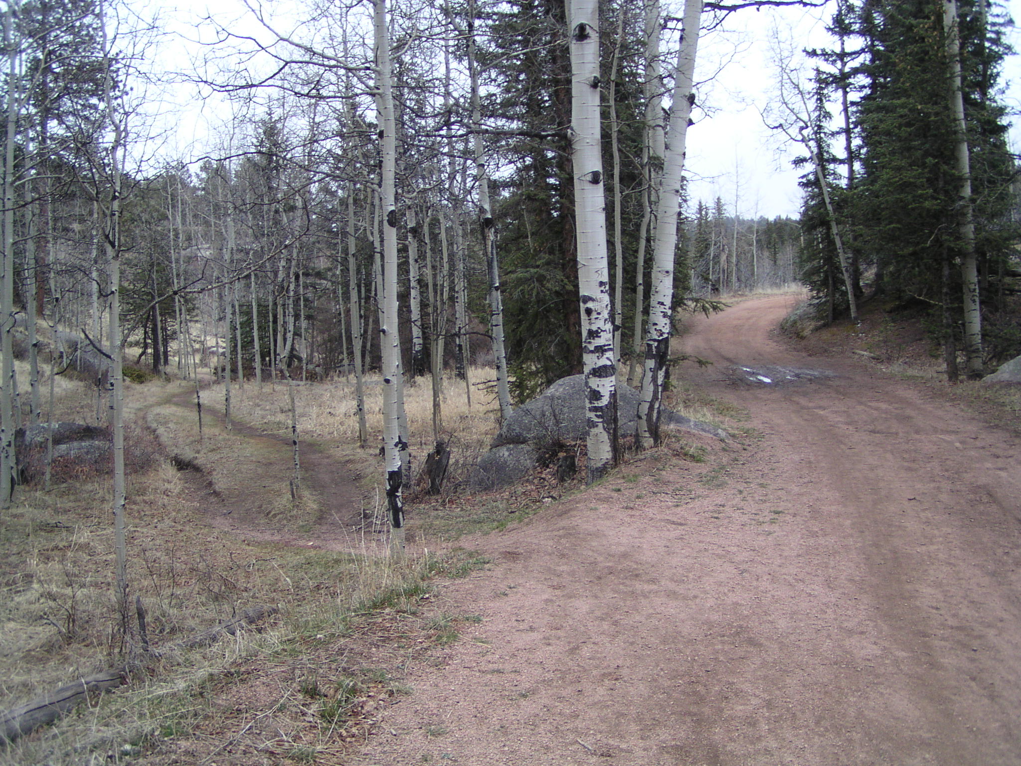 Trail junction