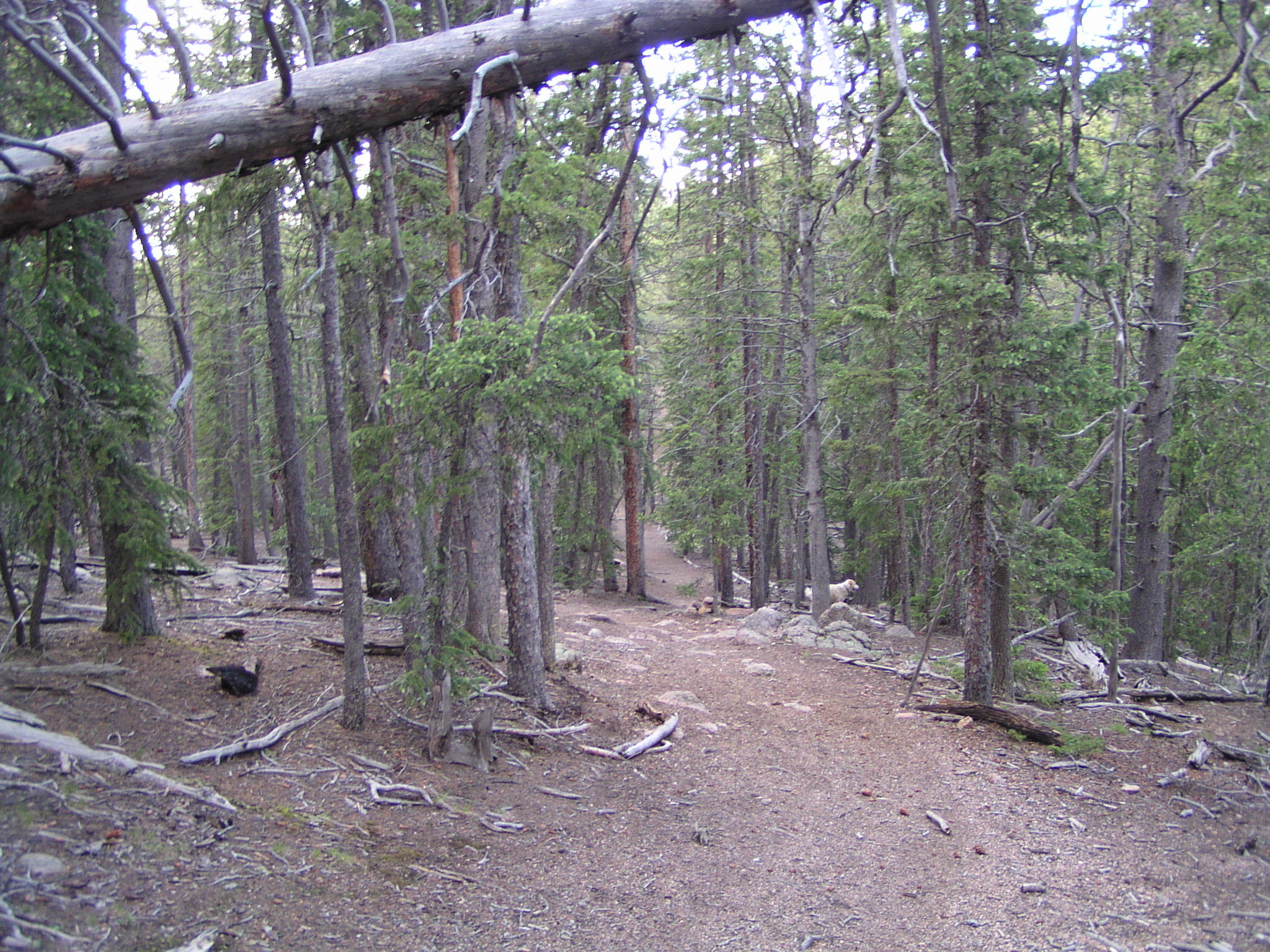 trail photo