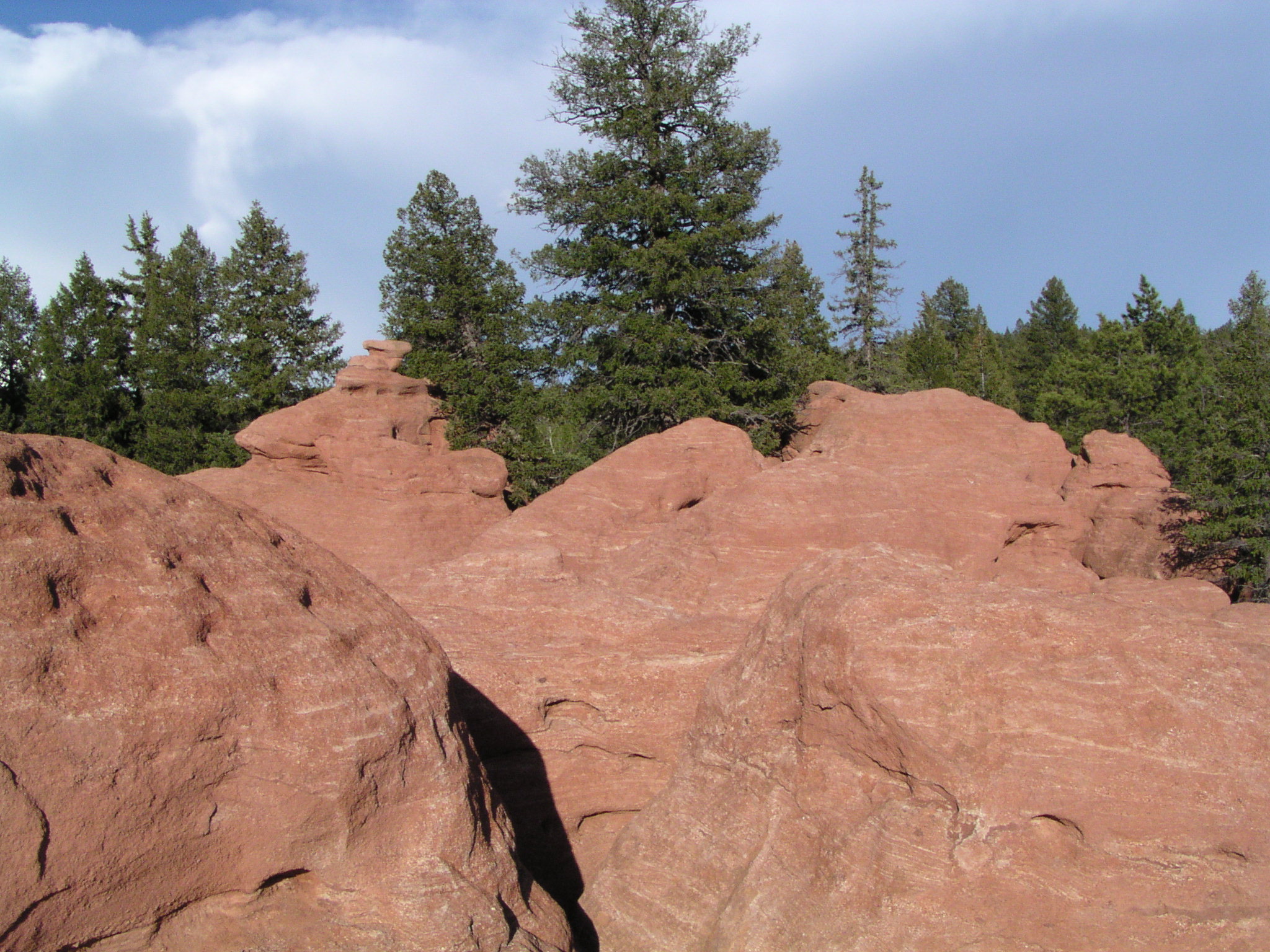 Rocks and Trees