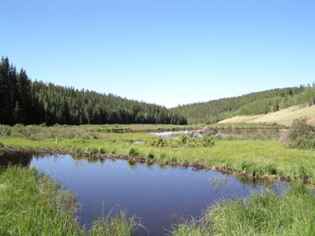 A pond at the end of the valley.