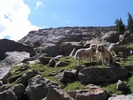 Steep section of the climb