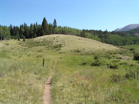 trail photo